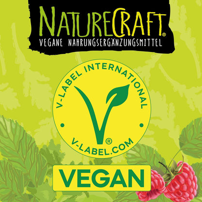 Vegan Basics - Vitamin B12+D3+K2+B2+B9 Folsäure + Eisen + Jod - Komplex mit 120 Kapseln (4 Monats-Vorrat)