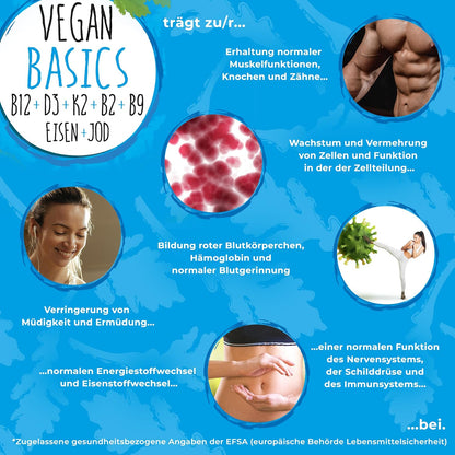 Vegan Basics - Vitamin B12+D3+K2+B2+B9 Folsäure + Eisen + Jod - Komplex mit 120 Kapseln (4 Monats-Vorrat)